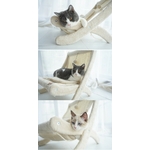 Lit-transat-luxe-pour-chat-Chaise-pliable-sisal-chats-Hamac-design-pour-chat