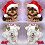 Peinture-diamant-noel-chiens-Diamond-painting-theme-noel-chien-Diy-5d-chien-noel