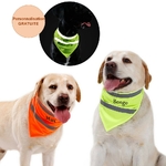 Bandana-reflechissant-personnalise-nom-chien-Tour-de-cou-personnalisable-pour-chat-Bandana-reflechissant-pour-animal-de-compagnie-a-personnaliser