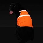 Gilet-de-securite-fluo-pour-chiens-Veste-fluorescente-pour-chien-vetement-visible-nuit-pour-chien