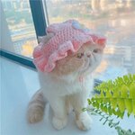 Bonnet-laine-pour-chien-Bonnet-en-tricot-pour-chat-Bonnet-chic-pour-animaux-de-compagnie
