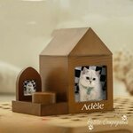 Accessoire-deuil-personnalise-pour-animaux-Urne-bois-cendres-et-souvenirs-personnalisable-Urne-funeraire-photo-pour-chien-chat-lapin