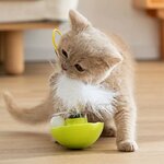 Jouet-culbuto-pour-chatons-Culbuto-avec-balles-pour-chat-Jouet-culbuto-balle-plume-pour-chats
