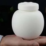 Urne-ceramique-grande-capacite-a-personnaliser-Grande-urne-en-ceramique-personnalisee-Urne-ceramique-haut-de-gamme-personnalisable-pour-animaux