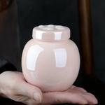 Urne-ceramique-grande-capacite-a-personnaliser-Grande-urne-en-ceramique-personnalisee-Urne-ceramique-haut-de-gamme-personnalisable-pour-animaux