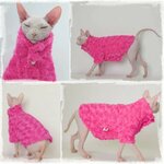 Manteau-luxe-chat-sphinx-Vetement-hiver-chat-sans-poils-Manteau-tendance-devon-rex