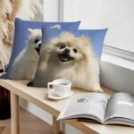 Housse-45-x-45-imprime-chien-Housse-coussin-photo-chien-Taie-oreiller-motif-chien