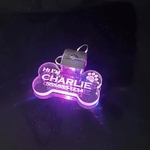 Medaille-lumineuse-personnalisee-chien-Medaille-LED-gravee-chat-Pendentiif-lumineux-personnalise-pour-chien-chat