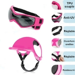 Details-casque-et-lunettes-moto-chien