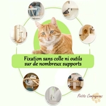 jouet-chat-anti-ennui-souris-suspendue