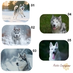 tapis-husky-decoration-interieur