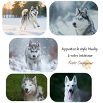 tapis-de-sol-husky-interieur