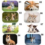 tapis-corgi-entree