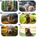 tapis-labrador-antiderapant
