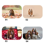 tapis-basset-entree
