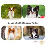 tapis-de-sol-papillon-interieur
