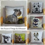housse-coussin-schnauzer