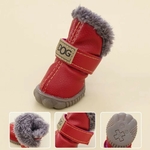 chaussures-chien-hiver-antiderapantes