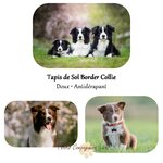 tapis-sol-border-collie-antiderapant