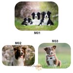 tapis-border-collie-motif-chien
