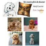 housse-coussin-caniche