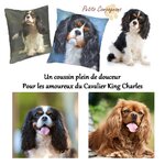 housse-coussin-cavalier-king-charles