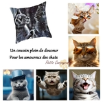 housse-coussin-chats
