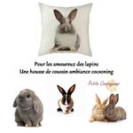 housse-coussin-lapin-blanc