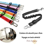 ceinture-securite-chien-voiture-reglable
