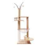 arbre-a-chat-moderne-chat-actif