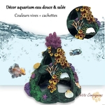 recif-corail-resine-aquarium-packshot