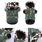 manteau-chien-hiver-exterieur