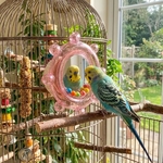 miroir-oiseau-fixation-barreaux-cage