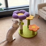 chat-joue-griffoir-marguerite