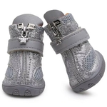 chaussures-chien-zip-scratch