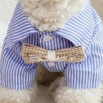 tenue-chien-jour-nuit