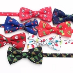collier-noeud-papillon-chat-fete