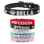 collier-personnalise-strass-chat-chien