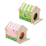 cabane-oiseau-bois-perchoir