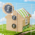 cabane-oiseau-design-interieur
