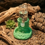 gamelle-reptile-antiderapant