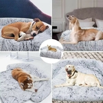 couchage-animal-canape