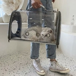 caisse-transport-chat-transparente