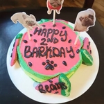 topper-anniversaire-animal