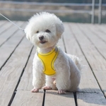 harnais-petit-chien-confort