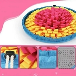 tapis-intelligence-animal