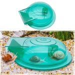 piege-escargot-aquarium