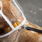 imper-chien-protection-pluie