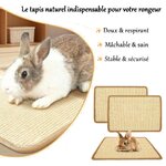 tapis-rongeur-naturel-fibres