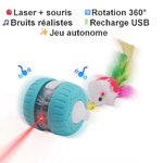 roue-interactive-chat-laser
